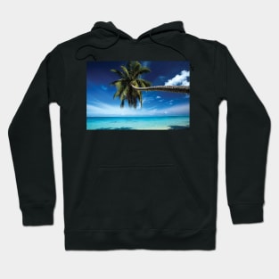 Palm Tree Bending Over The Beach Bora Bora Society Islands Hoodie